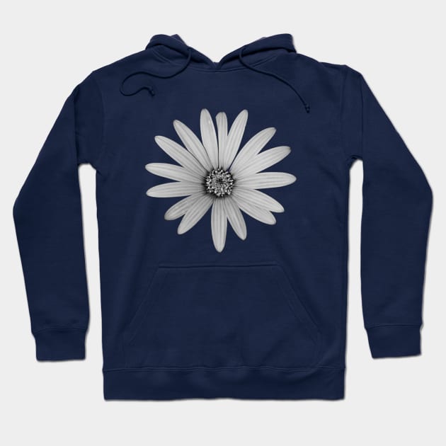 African Daisy Flower Black and White Hoodie by oknoki